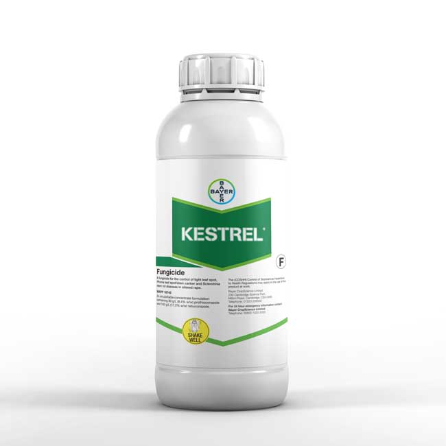 سفارش سم Kestrel جهت حفظ سلامت گندم و جلوگیری از قارچ زدگی